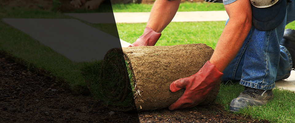 Champaign Landscapers